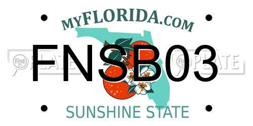 FNSB03 Florida License Plate