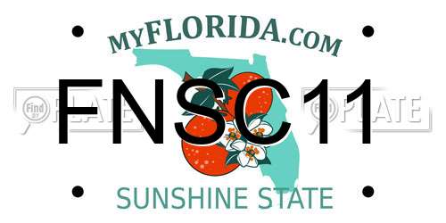FNSC11 Florida License Plate