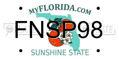 FNSP98 Florida License Plate