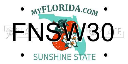 FNSW30 Florida License Plate