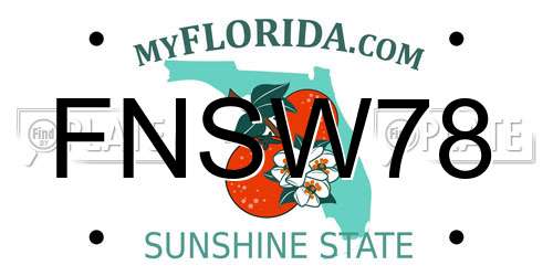 FNSW78 Florida License Plate