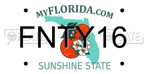 FNTY16 Florida License Plate