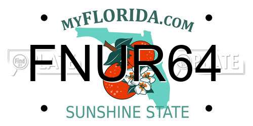 FNUR64 Florida License Plate
