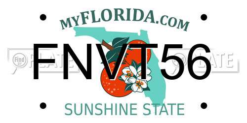 FNVT56 Florida License Plate