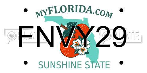 FNVY29 Florida License Plate