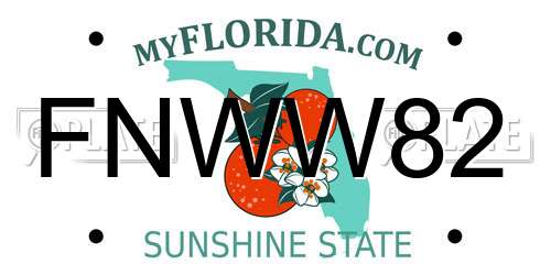 FNWW82 Florida License Plate