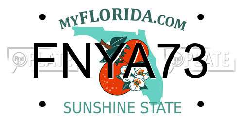 FNYA73 Florida License Plate