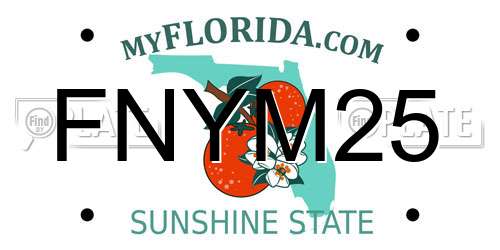 FNYM25 Florida License Plate