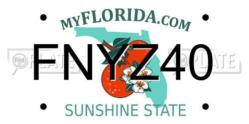 FNYZ40 Florida License Plate