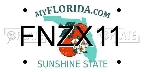 FNZX11 Florida License Plate