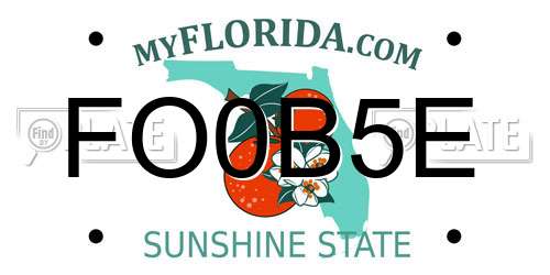 FO0B5E Florida License Plate