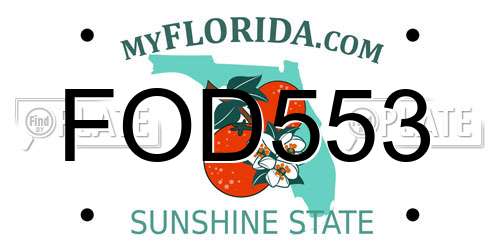 FOD553 Florida License Plate