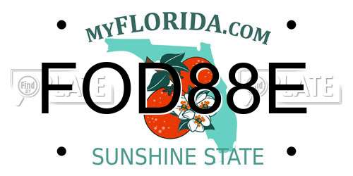 FOD88E Florida License Plate