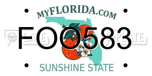 FOO583 Florida License Plate