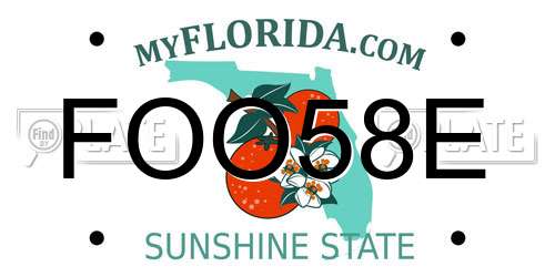 FOO58E Florida License Plate