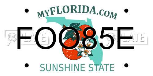 FOO85E Florida License Plate