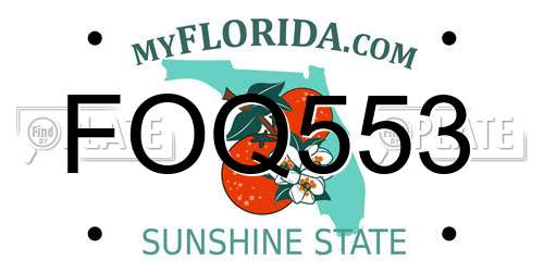 FOQ553 Florida License Plate