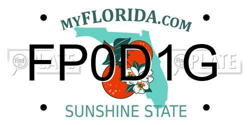 FP0D1G Florida License Plate