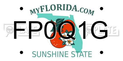FP0Q1G Florida License Plate