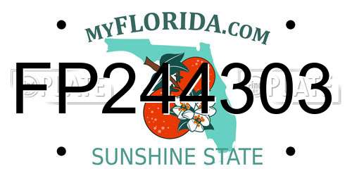 FP244303 Florida License Plate