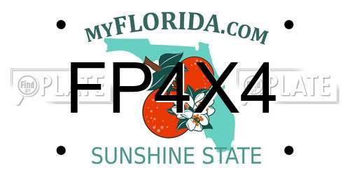 FP4X4 Florida License Plate