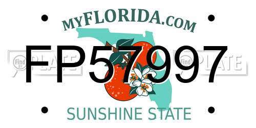 FP57997 Florida License Plate
