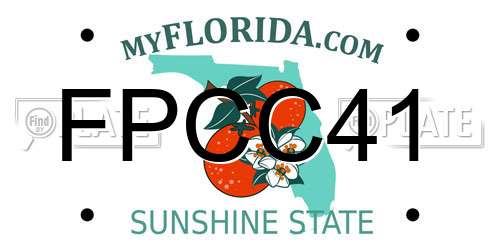 FPCC41 Florida License Plate