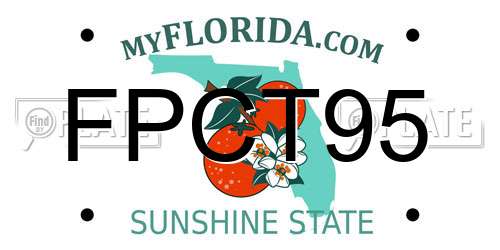 FPCT95 Florida License Plate