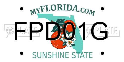 FPD01G Florida License Plate