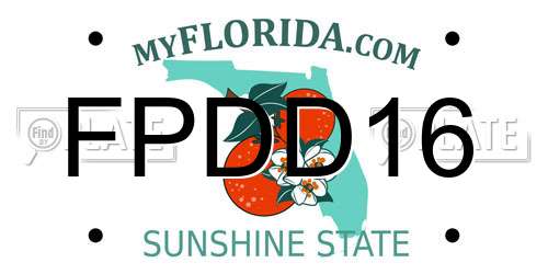 FPDD16 Florida License Plate