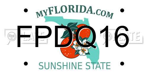 FPDQ16 Florida License Plate