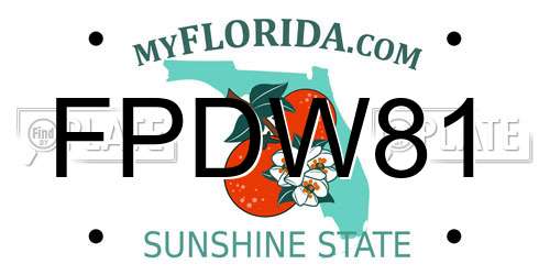 FPDW81 Florida License Plate