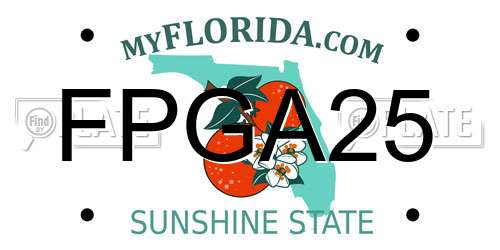 FPGA25 Florida License Plate