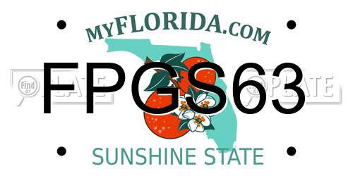 FPGS63 Florida License Plate