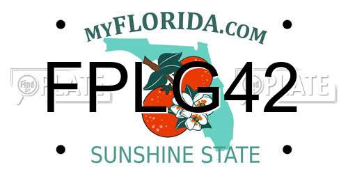 FPLG42 Florida License Plate