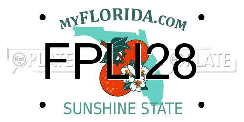 FPLI28 Florida License Plate