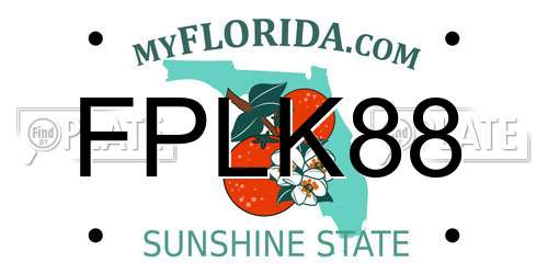 FPLK88 Florida License Plate