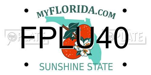 FPLU40 Florida License Plate