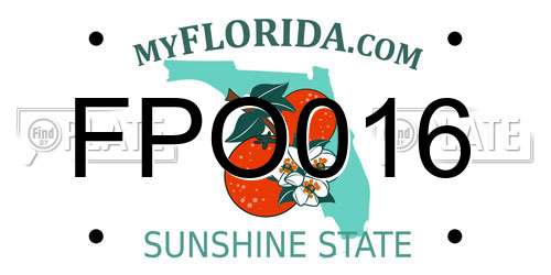 FPO016 Florida License Plate