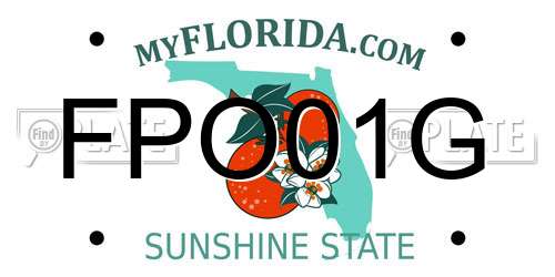 FPO01G Florida License Plate