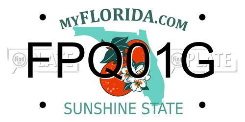 FPQ01G Florida License Plate