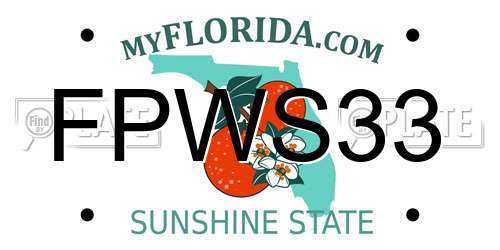 FPWS33 Florida License Plate