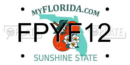 FPYF12 Florida License Plate