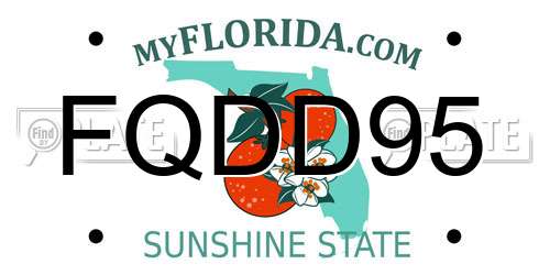 FQDD95 Florida License Plate