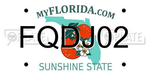 FQDJ02 Florida License Plate
