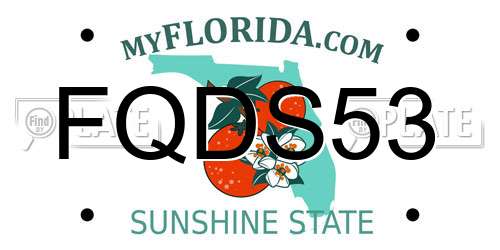 FQDS53 Florida License Plate
