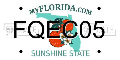FQEC05 Florida License Plate