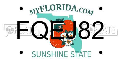FQEJ82 Florida License Plate