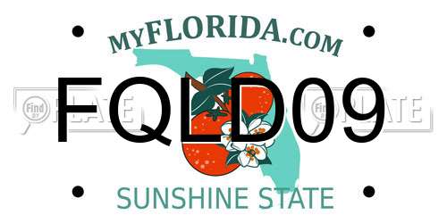 FQLD09 Florida License Plate
