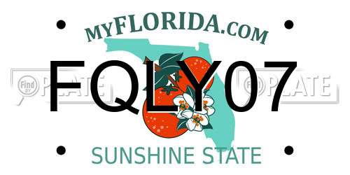 FQLY07 Florida License Plate